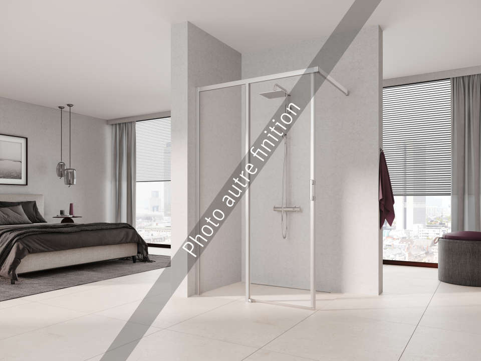 Photo Paroi walk-in LIGA LIJ2L L120 2M argent poli v.clair clean 1