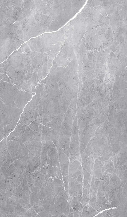 Photo Panneau mural douche VIPANEL ARAGON ANTHRACITE BRI. 1500x2550x3MM