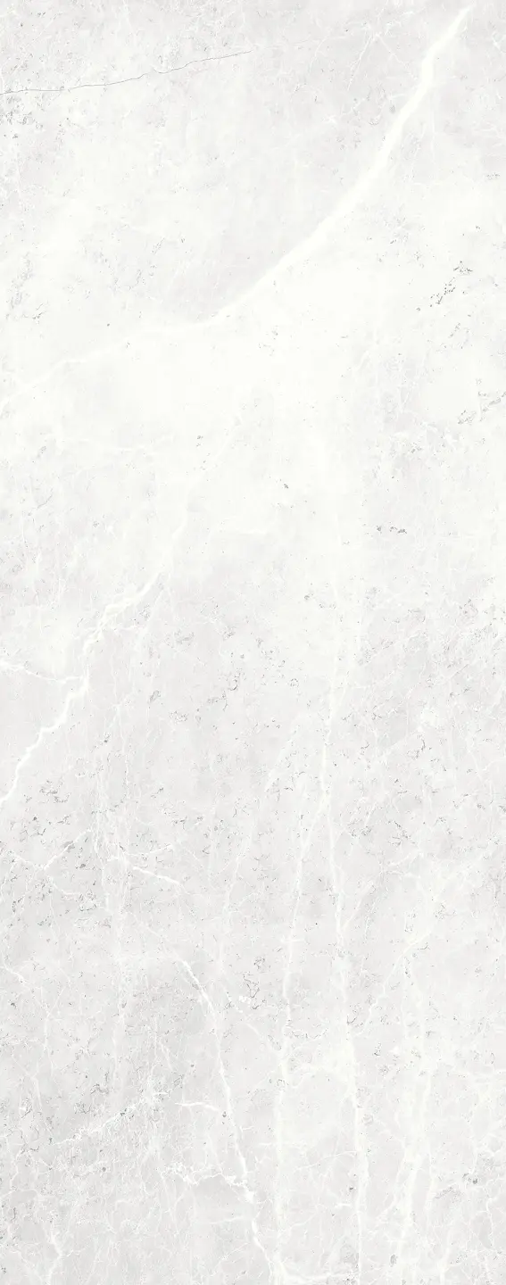 Photo Panneau mural douche VIPANEL ARAGON GRIS BRI. 1000x2550x3MM