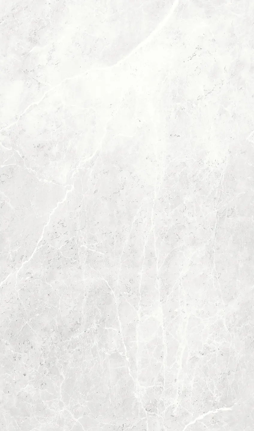 Photo Panneau mural douche VIPANEL ARAGON GRIS BRI. 1500x2550x3MM